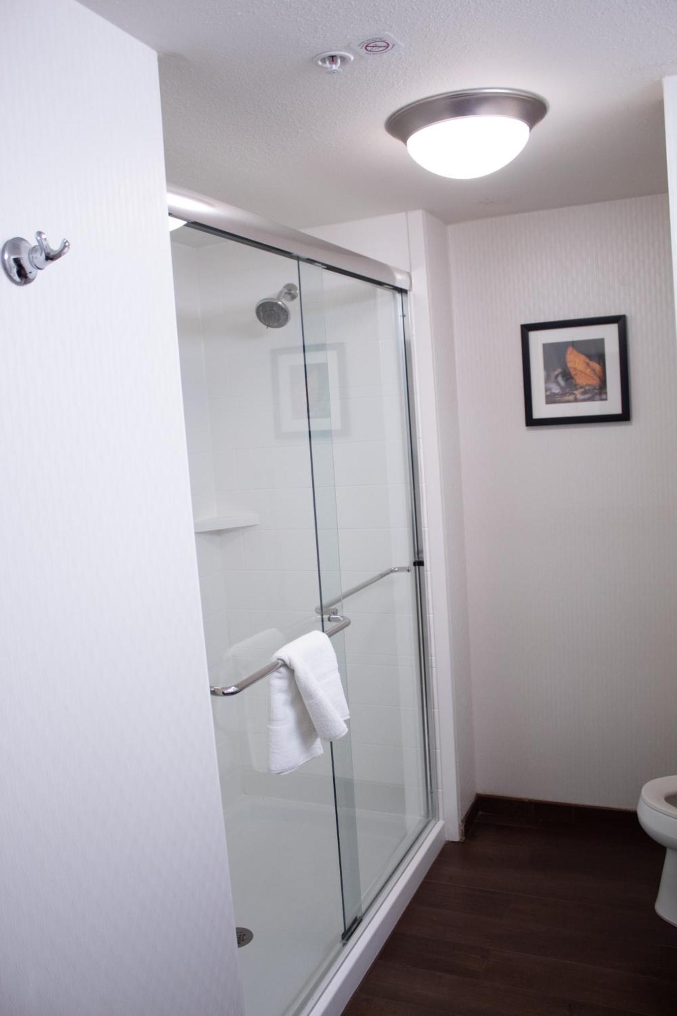 Hampton Inn & Suites Big Rapids, Mi Buitenkant foto