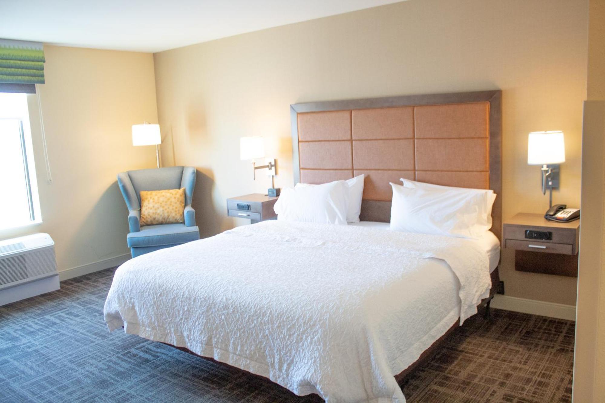 Hampton Inn & Suites Big Rapids, Mi Buitenkant foto